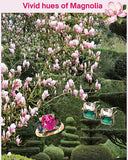 Large Rope Twist Border Two Stone Cushion Earring